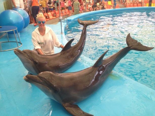 Dolphinarium Nemo. Nuu, tas ir pašlaik. Es redzēju krasāku Scheu ar delfīniem, tāpēc ne iespaidu osobo.ou ar čūskas. Pārāk - tas ir šobrīd, aptuveni 10 minūtes, un nekas. 