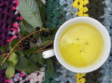 Odu zāļu tēja ieva tējas antibakteriāls Cheremuhovo