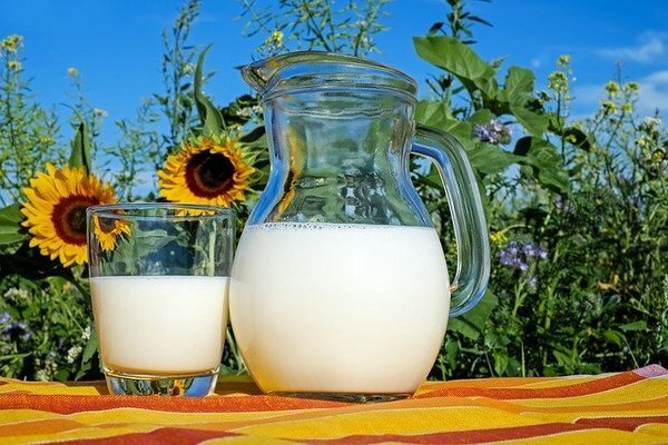 Labāk nopirkt pienu no privātām saimniecībām (Foto: pixabay.com)