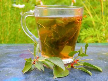 Vitamīnu tēja no lapām ķiršu veicinātu veselību