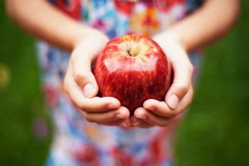 Apstrādāt āboli: nierakmeņi, varikozas vēnas, sirdslēkme, utt