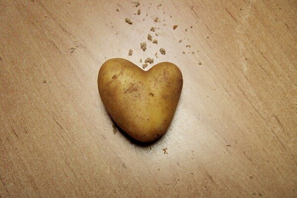Kartupeļi var palīdzēt sirds slimību gadījumā (Foto: Pixabay.com)