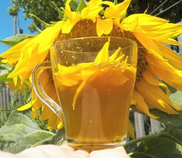 Sunflower dzērienu, palielina apetīti