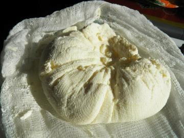 Vieglākais recepte gardu mājās gatavotu sieru (piemēram, Adigejas)