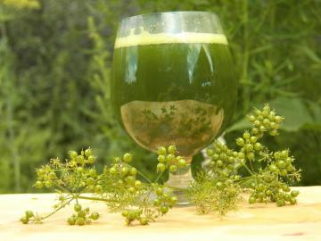Dzert no baktericīdu cilantro koriandru