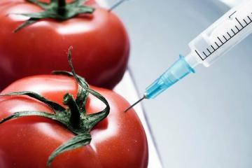 10 ĢMO pārtikas produkti, kurus mēs ēdam un pat nezinām